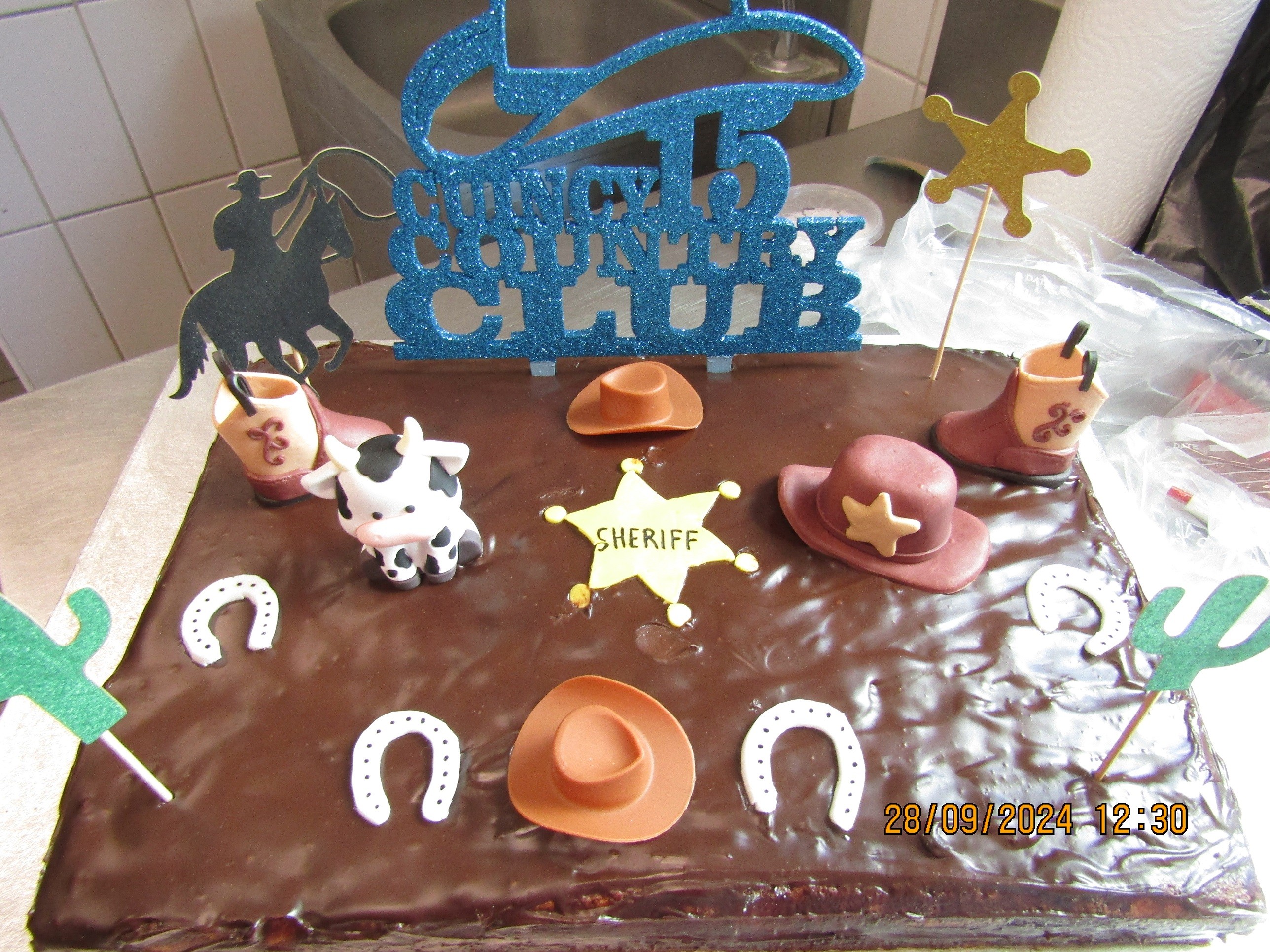 Workshop et bal country 